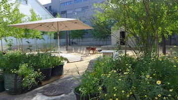 Urban garden at Dreispitz in Basel